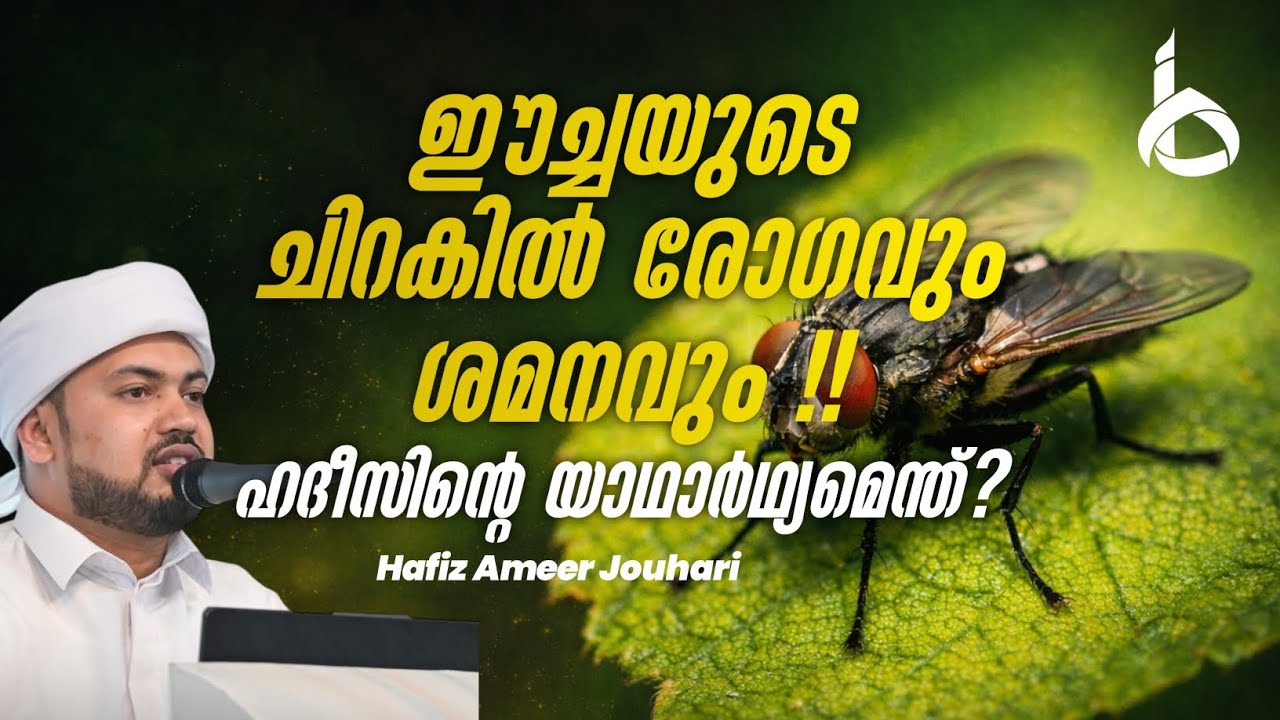 ഈച്ചയുടെ ചിറകിൽ രോഗവും ശമനവും.!! ഹദീസിൻ്റെ യാഥാർഥ്യമെന്ത്..?? ഹാഫിസ് അമീർ ജൗഹരി | Tayba TV24