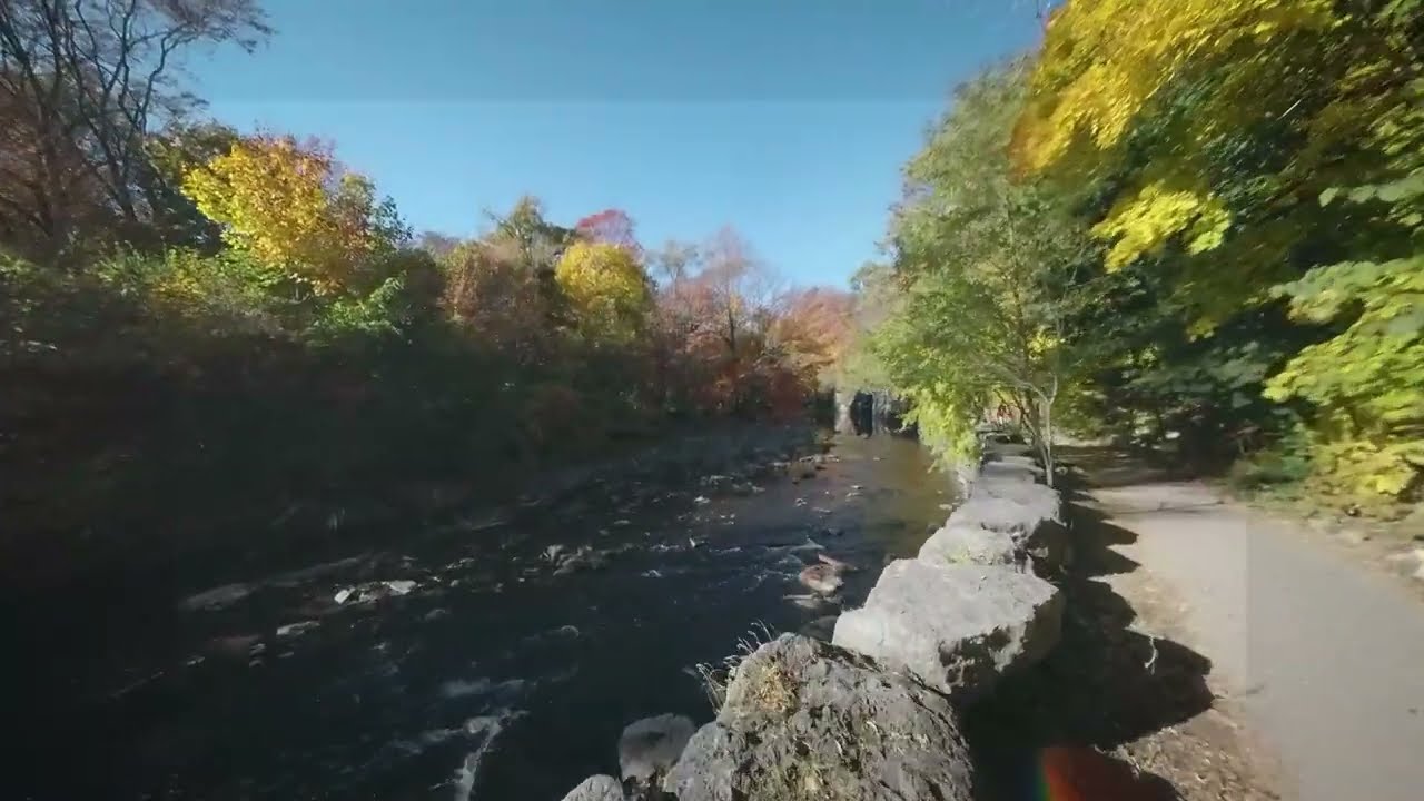 Video Clip - Etobicoke Creek (Toronto Ontario Canada)