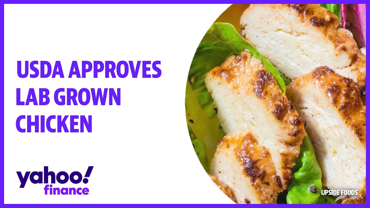 USDA approves lab grown chicken: Upside Foods explains what it is, where is comes from, and cost