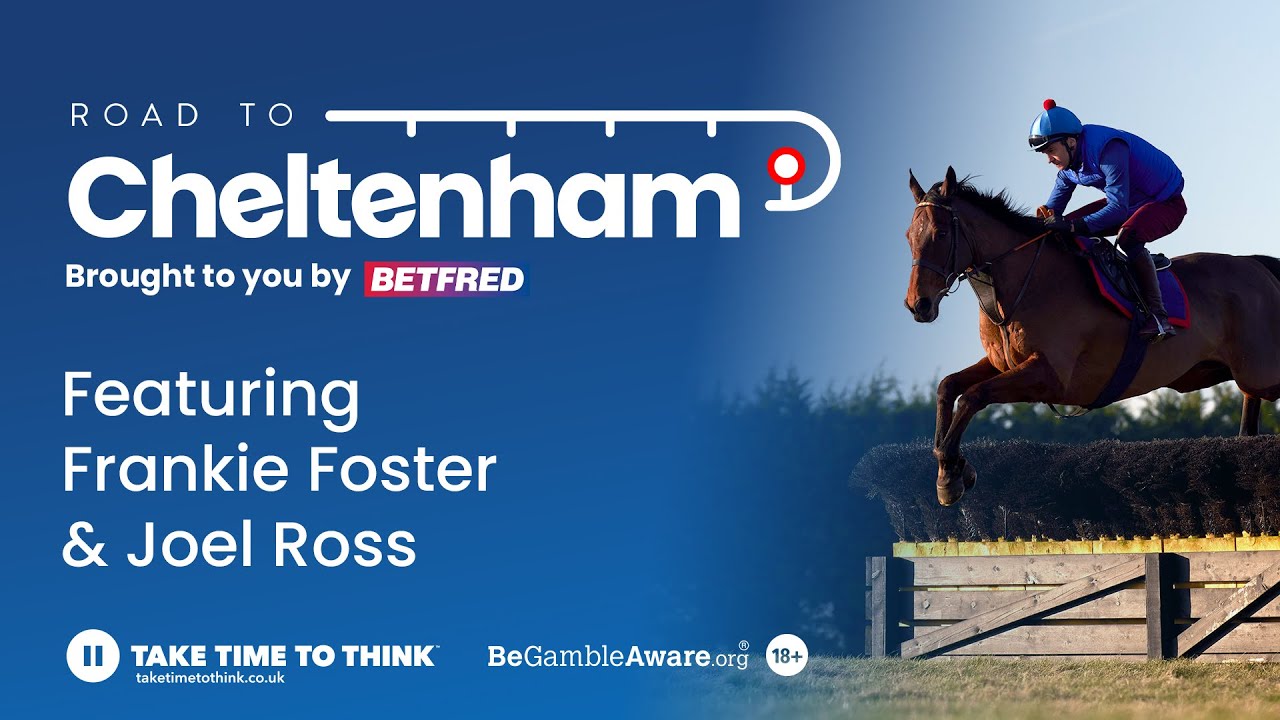 Horses To Follow For The Cheltenham Festival - Road To Cheltenham