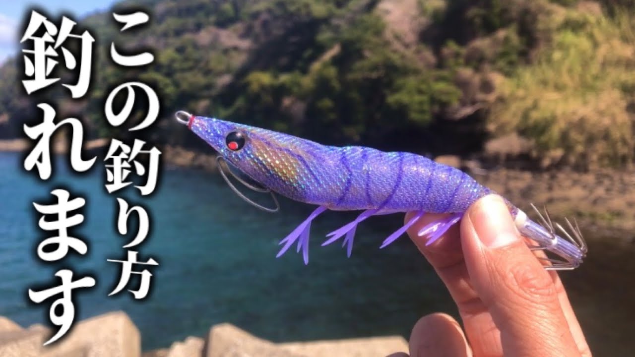 【エギング春】何故かアオリイカが釣れやすくなる釣り方をしたらガチで釣れた！