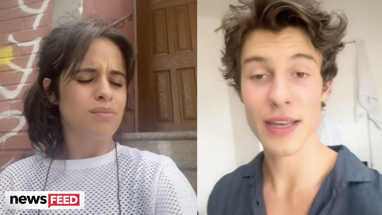 Camila Cabello TROLLS Shawn Mendes On TikTok!