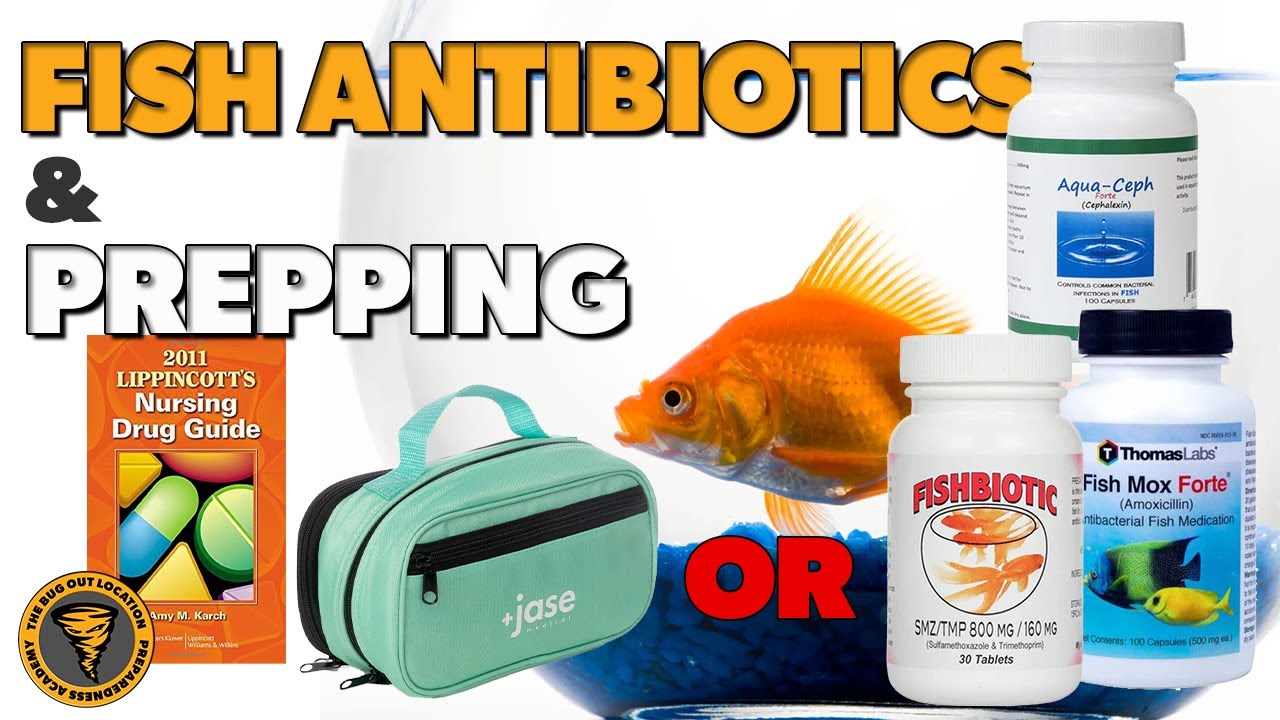 Fish Antibiotics for Prepping & Expiration Dates