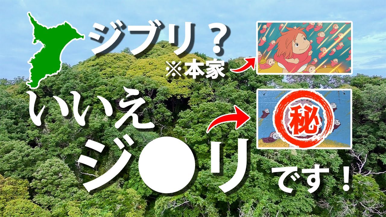 【※遭難注意】低山なのにヤバい『もばら〜トレイル』～ジブリファン必見！茂原ジモリの森～ドローン空撮