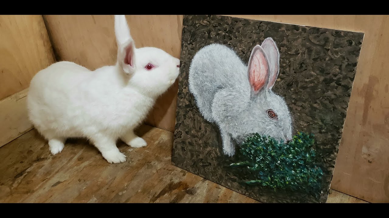 Acrylic Painting Class of a cute white rabbit by Robbie Paints