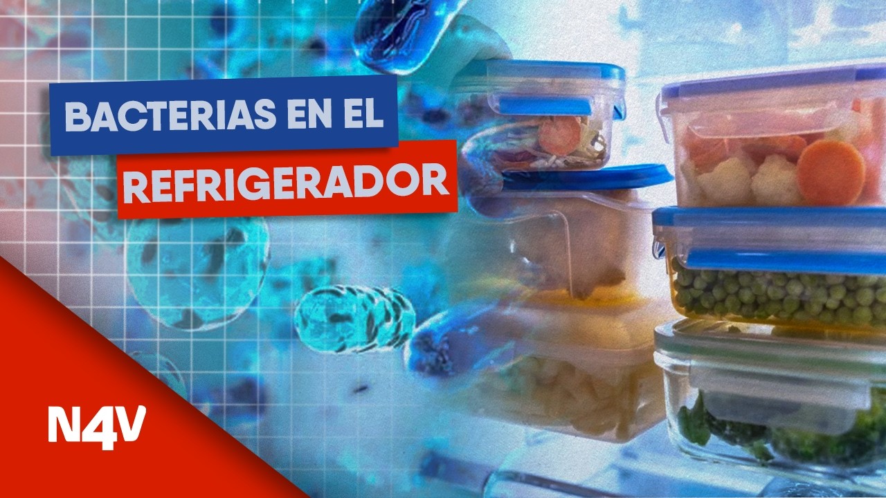 ¿Sabía que podría tener bacterias su refrigerador?  | Noticias 4 Visión | El Salvador