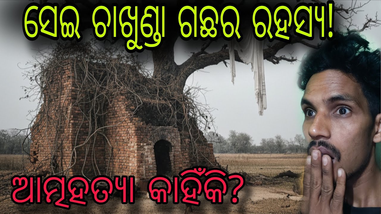 ଆତ୍ମହତ୍ୟା କାହିଁକି? ଚାଖୁଣ୍ଡା ଗଛର ରହସ୍ୟ😱|| #ghostbloggersridhar 
