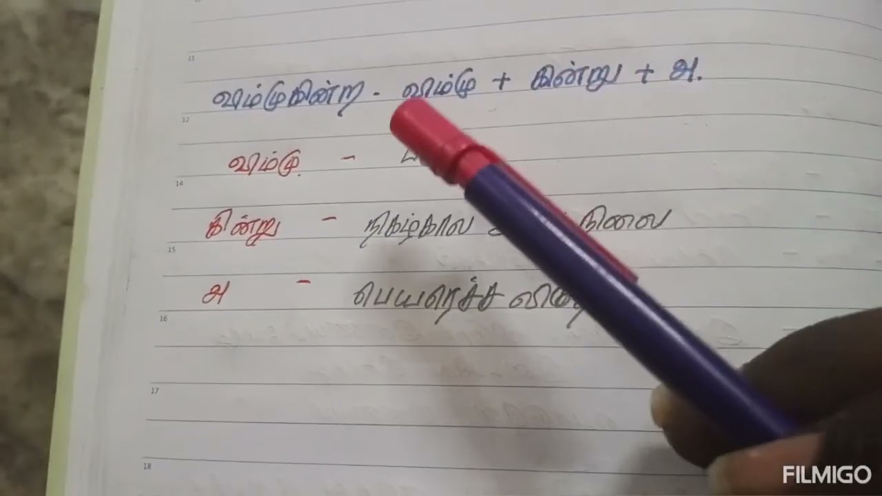 Padmesh M.S.