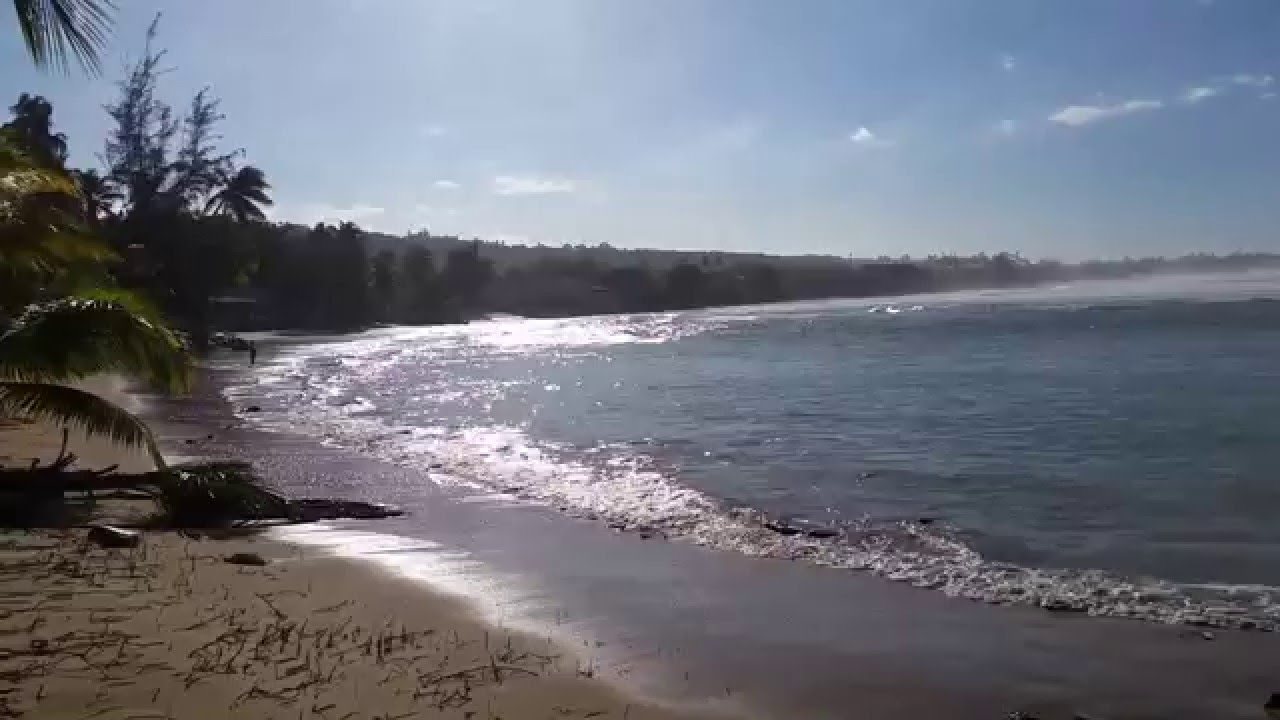 Playa Jobos , Isabela Puerto Rico