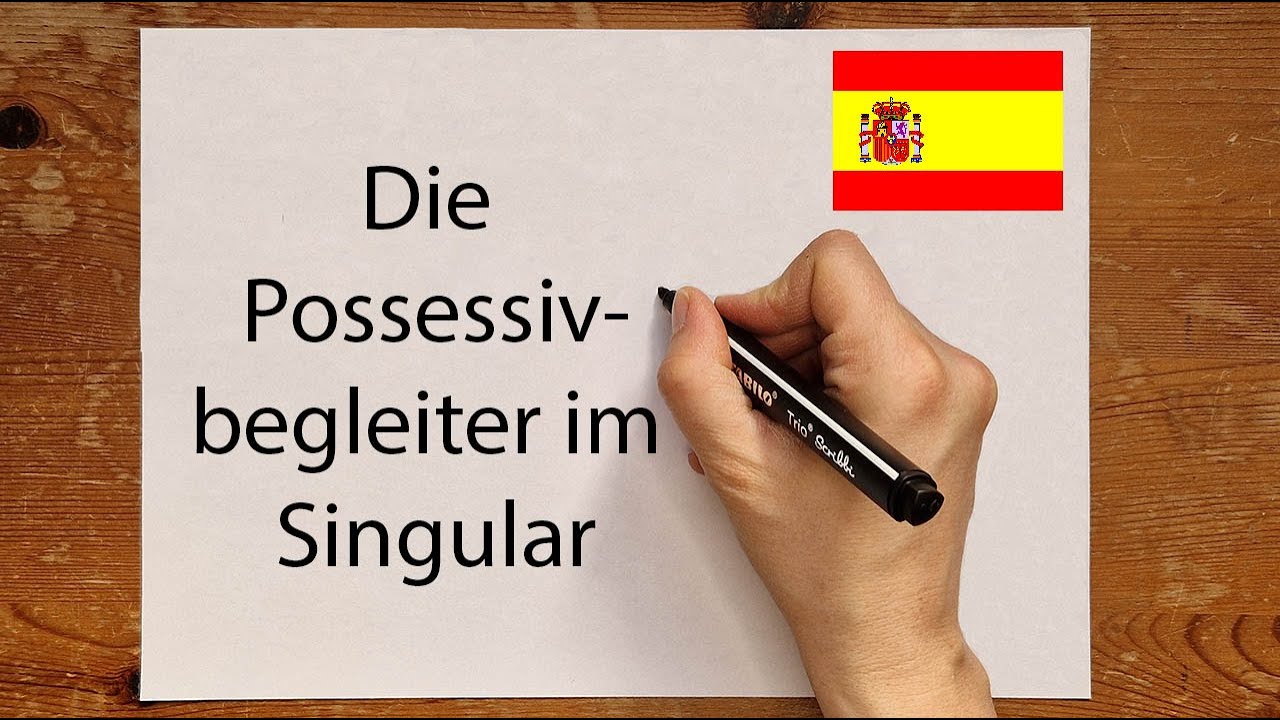Spanisch: die Possessivbegleiter im Singular - mein, dein sein einfach erklärt /pronombres posesivos