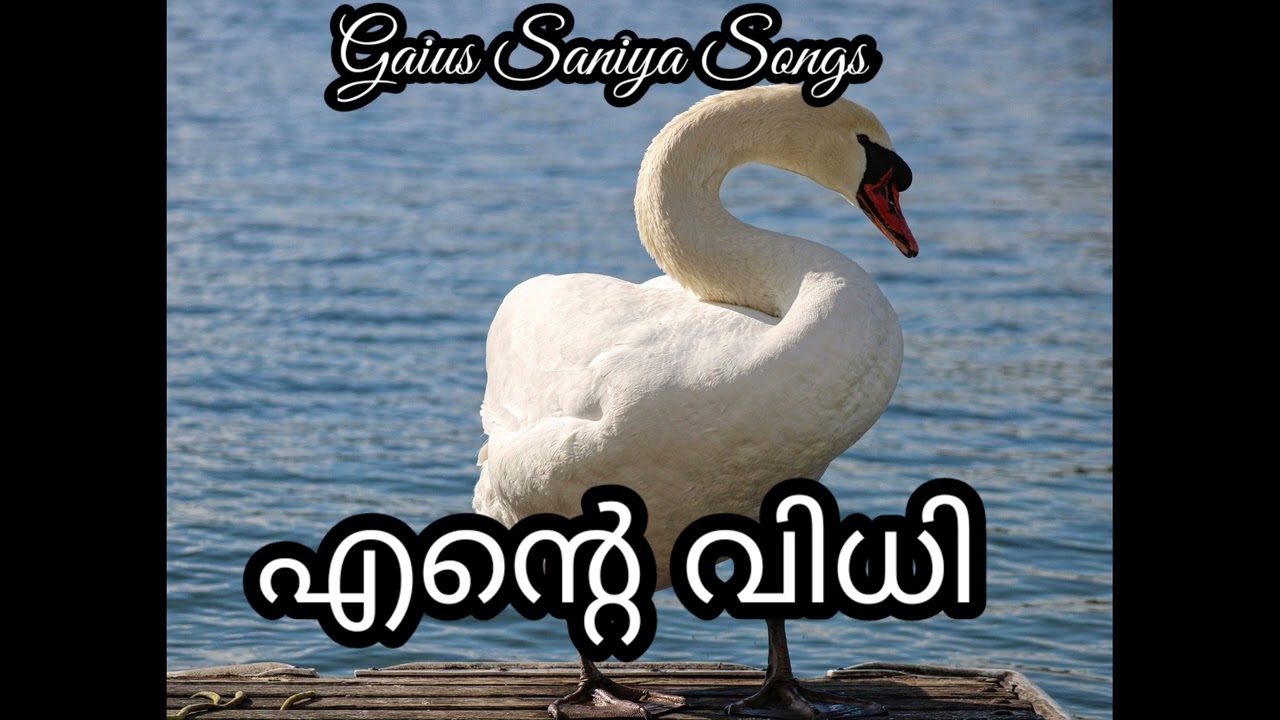 ENTE VIDHI - ORU BHAVANA by SANIYA