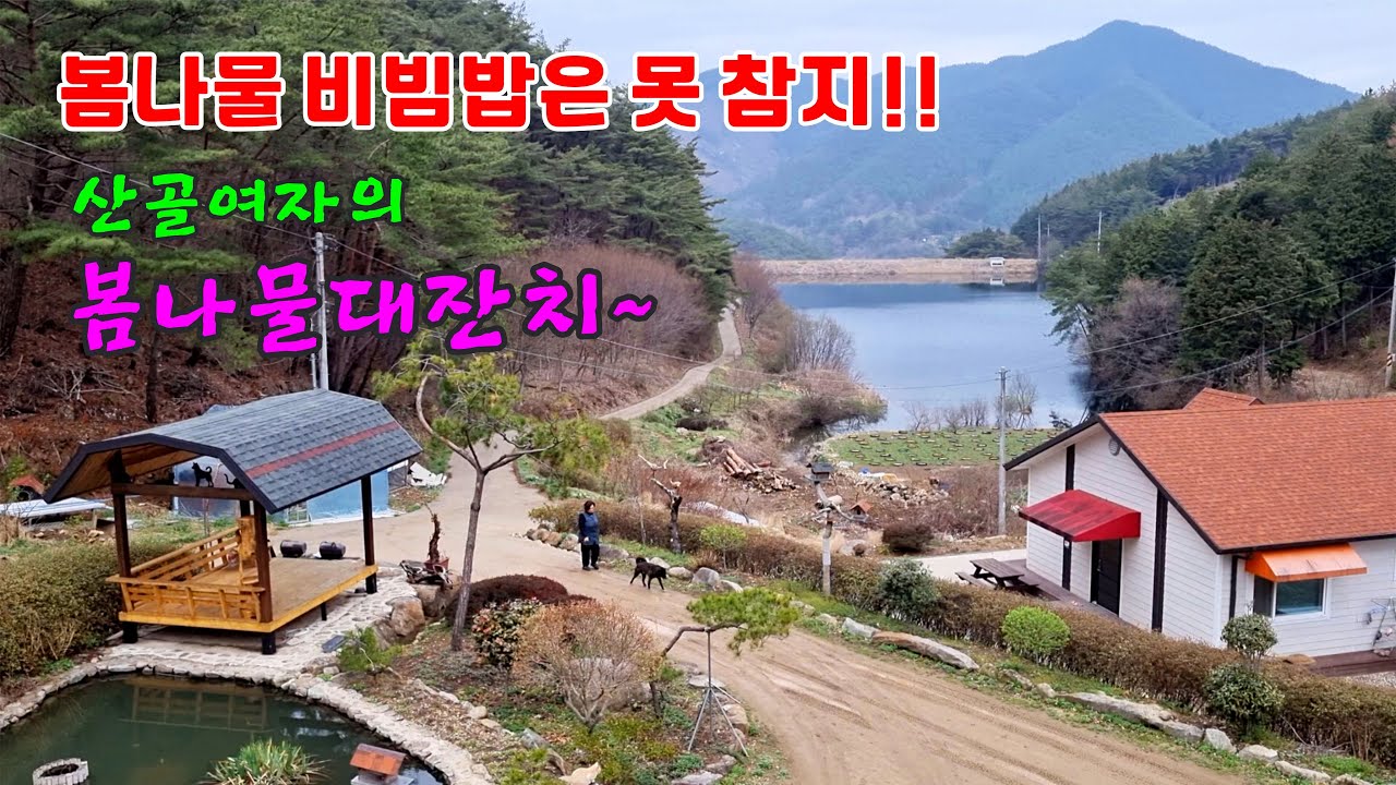 봄나물 비빔밥은 못참지!! 산골여자의  찐 봄나물 대잔치~~