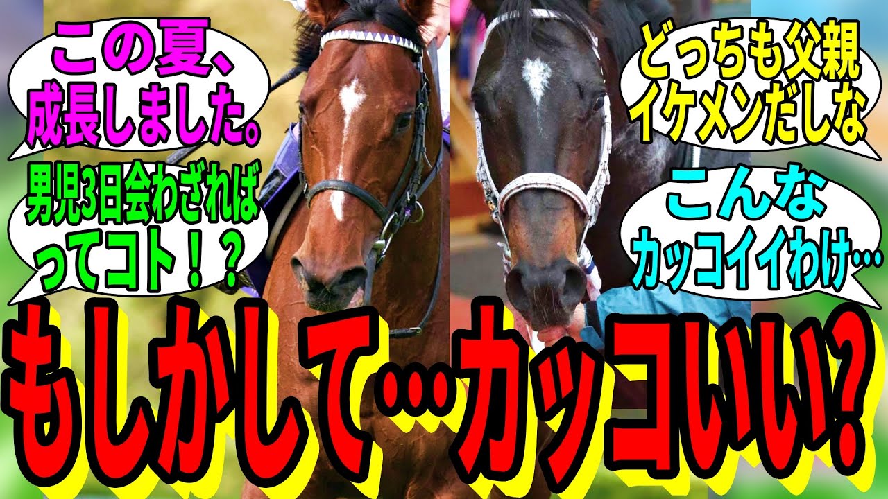 【競馬の反応集】「もしかしてこの二頭ってカッコいい…？」に対する視聴者の反応集