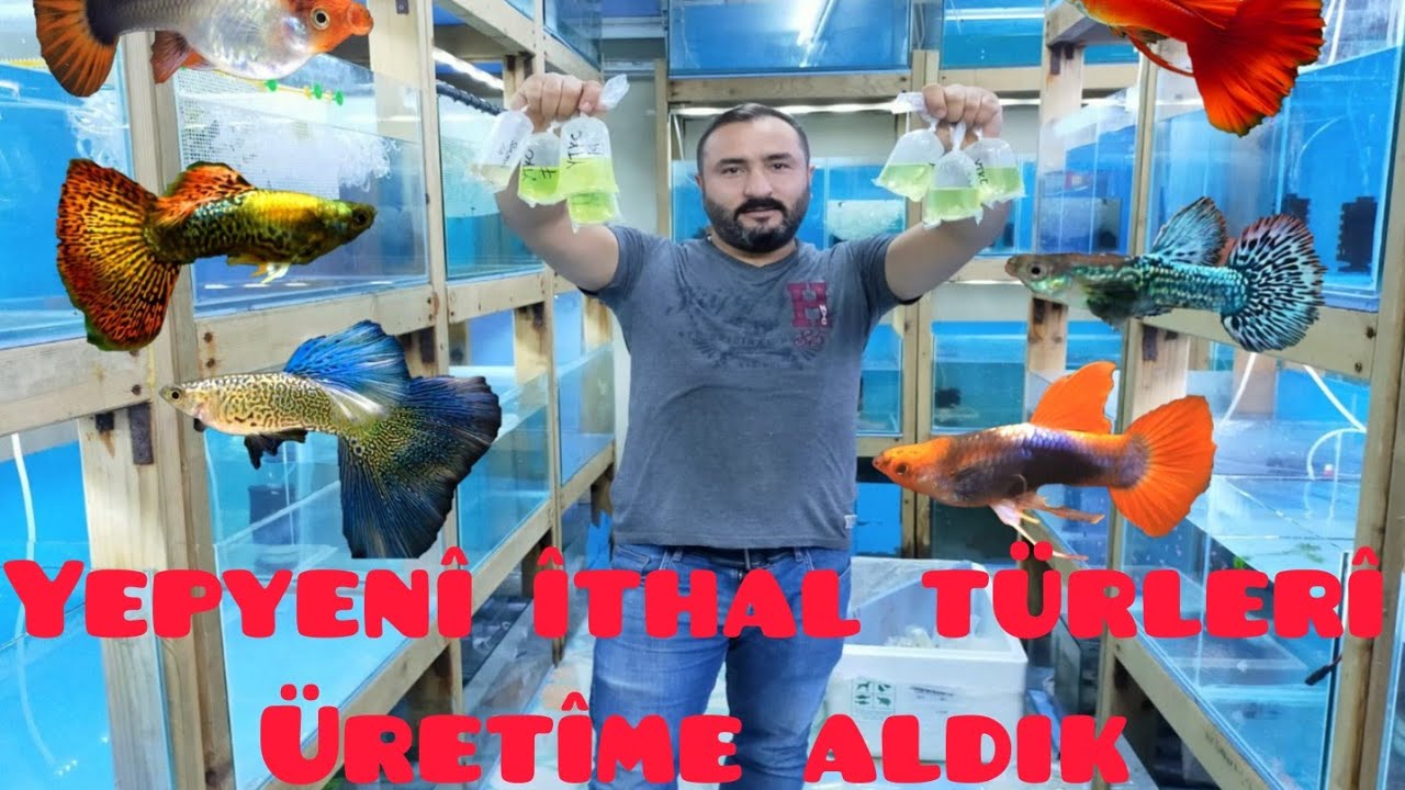 Üretime yepyeni ithal türler getirdik  Türkiye'de olmayan nadir türler