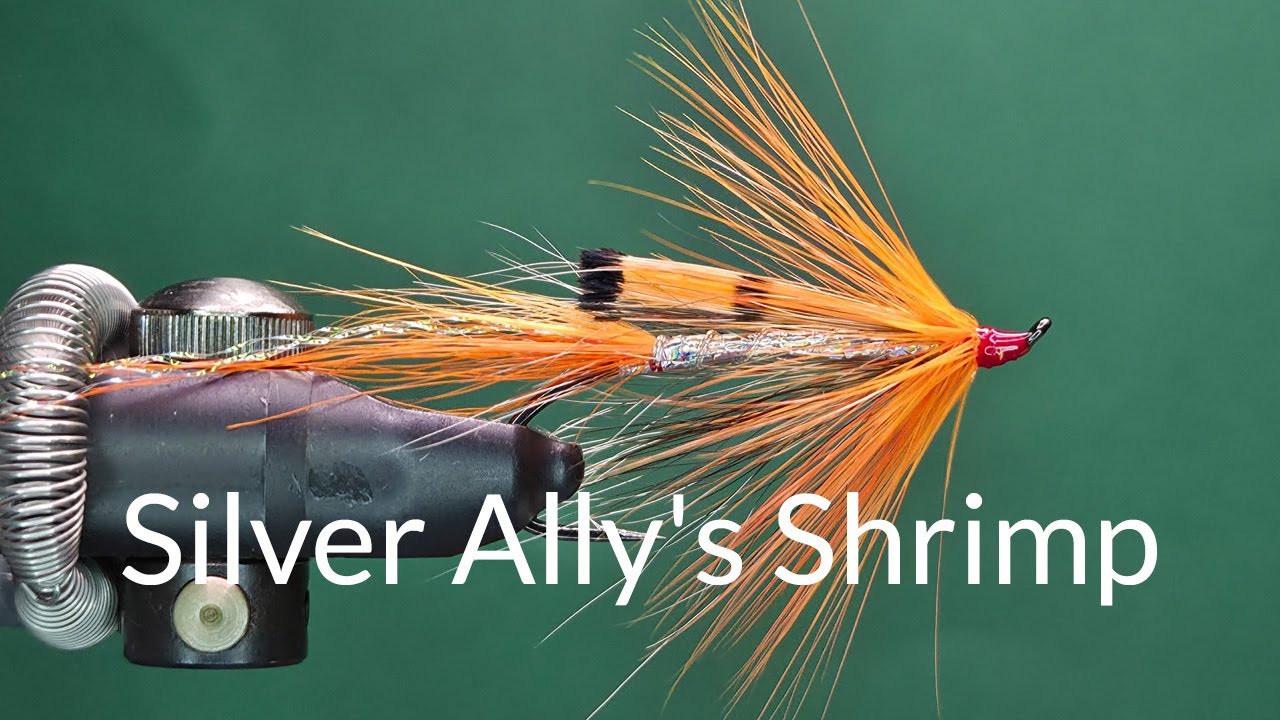 Silver Ally's Shrimp - One Fly A Day