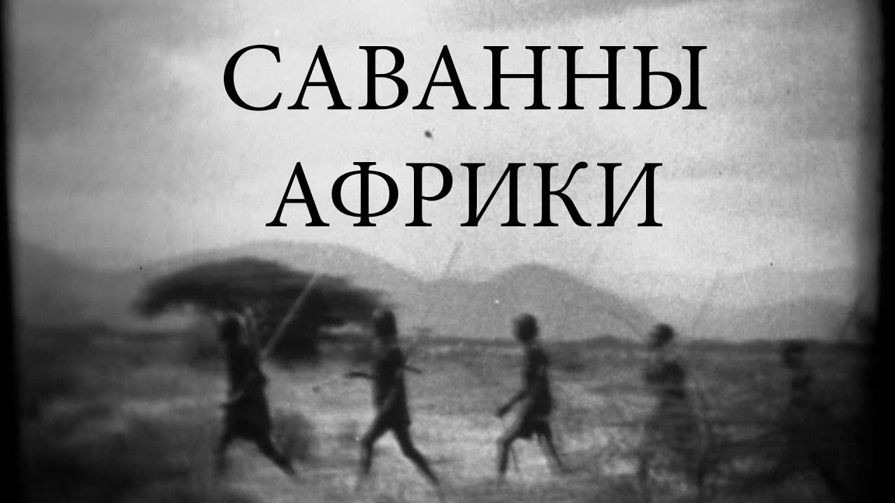 16 мм фильм 