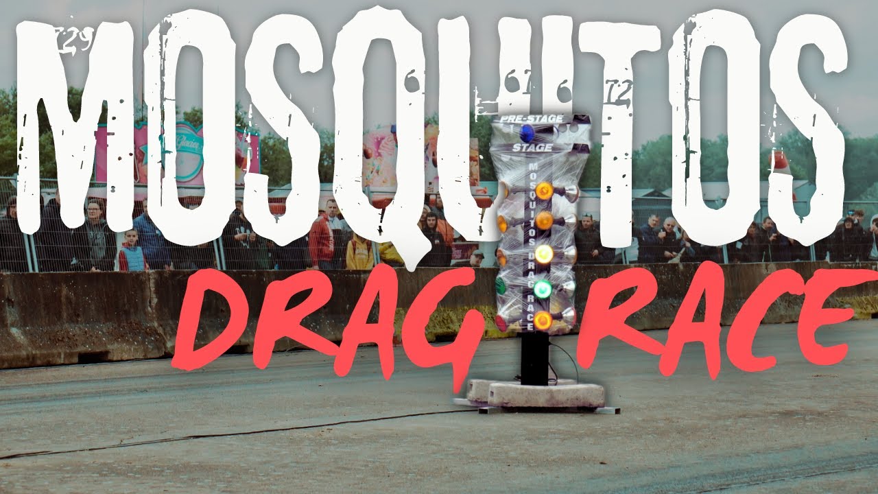 Mosquitos Drag Race 2024 - Tu vas en prendre plein les oreilles !