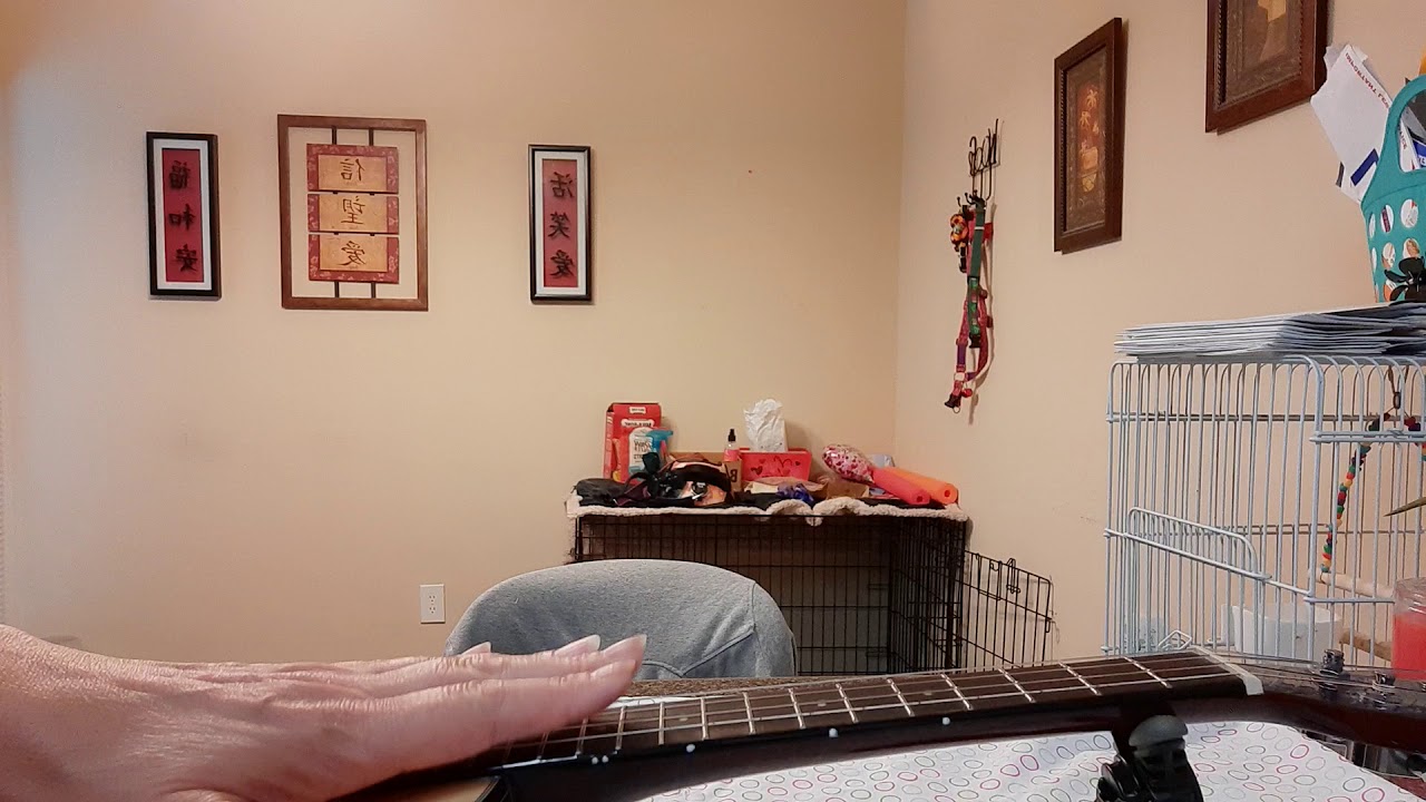 What is a good set up? Ukulele Tips & Info