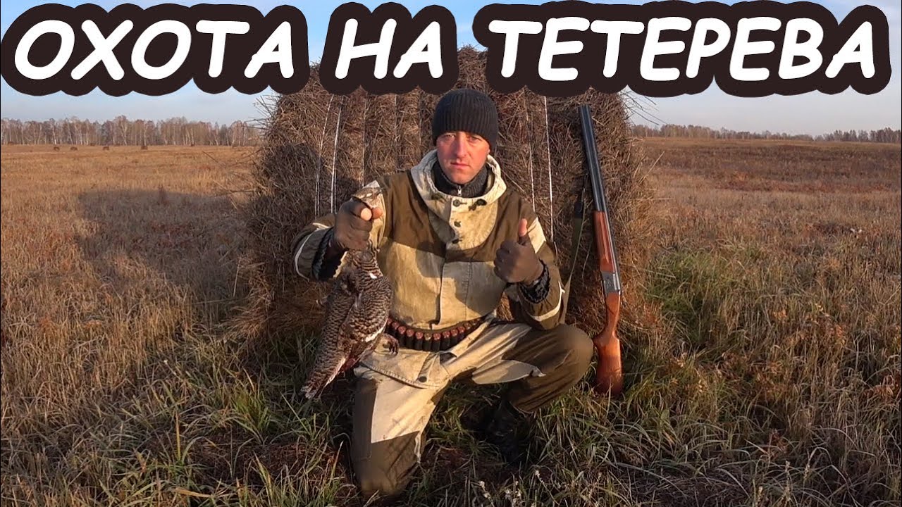 Охота на тетерева осенью | Не город TV