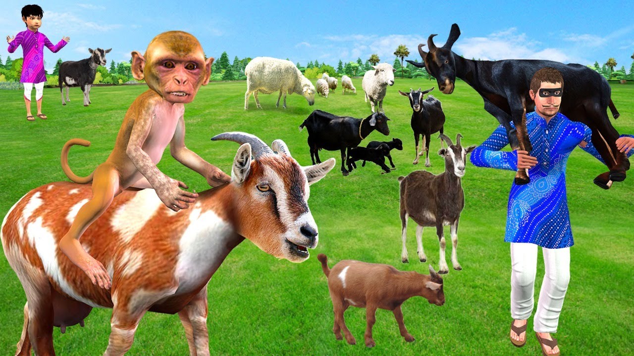 Must Watch New Funny Comedy Video बंदर बकरी चोर Monkey Bakri Chor