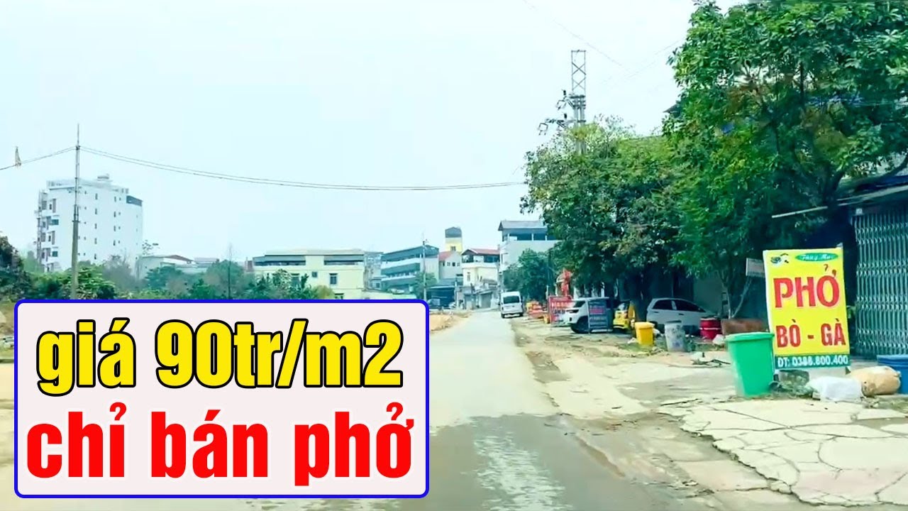 Đầu tư đất nền Tân xã Hòa Lạc giá 90 tr/m2 kinh doanh được không