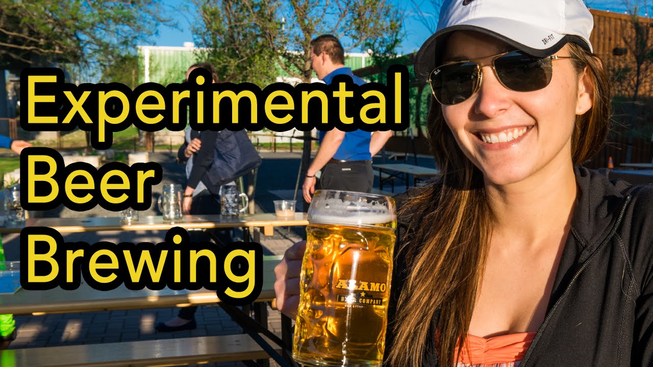 Experimental homebrew beer