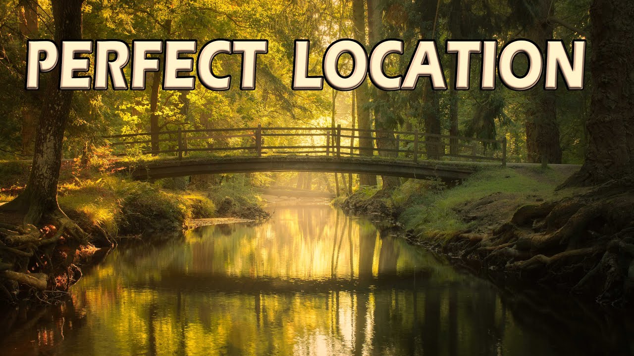 THE PERFECT LOCATION | The New Forest | Landscape Photography