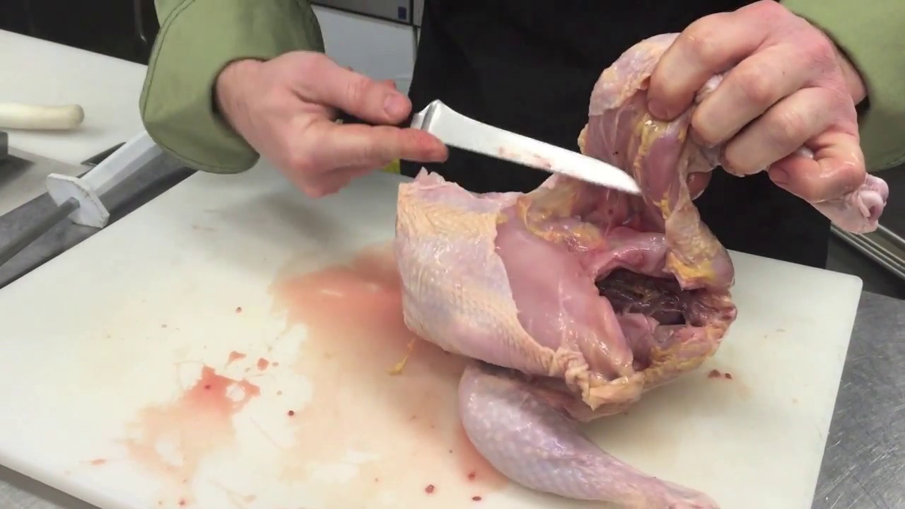 How to Break Down a Chicken