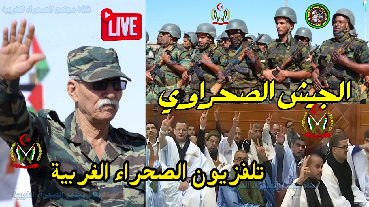 🔴 بث مباشر التلفزيون الوطني الصحراوي  👍 🔵حرية واستقلال 👍 #الصحراء_الغربية ✌️👍 🇪🇭