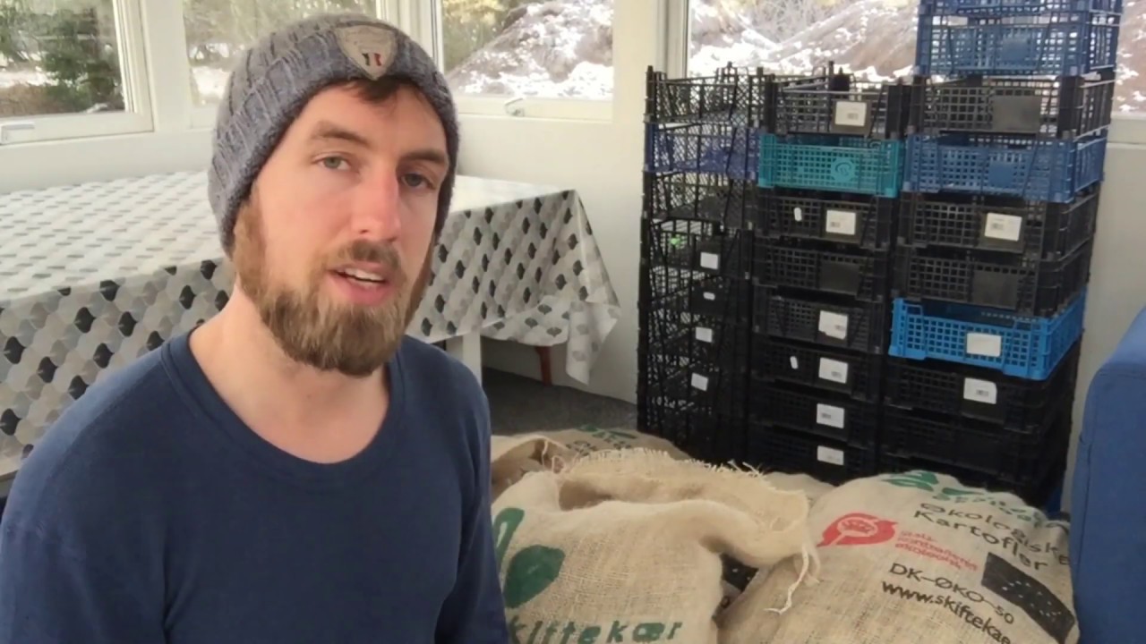 DYRKNING AF TIDLIGE KARTOFLER - DEL 1 FORSPIRING AF KARTOFLER