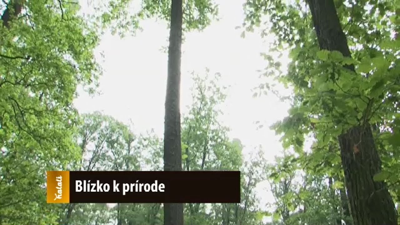 Prírode blízka starostlivosť o lesné ekosystémy na Lesnej správe Duchonka, Lesy SR š.p.