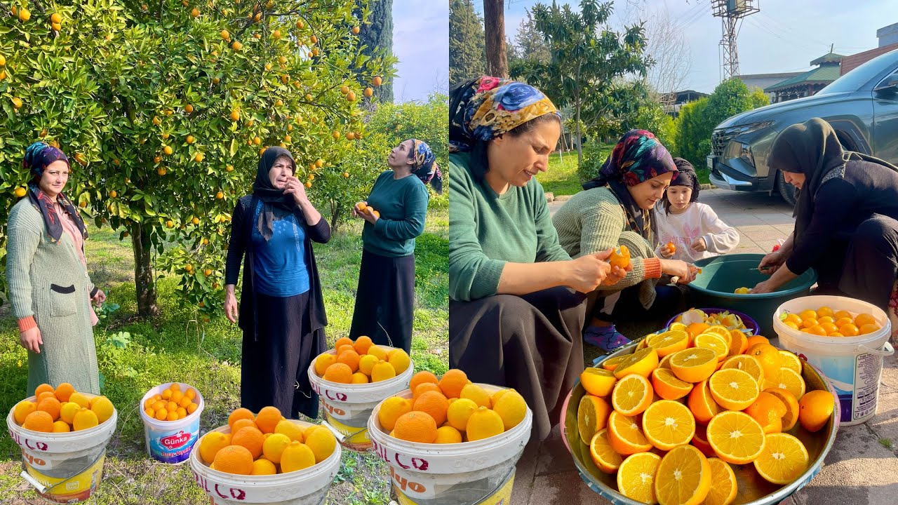 YENİ KÖY EVİ BAHÇESİ TAZE LİMON PORTAKAL HASADI BU TARİFE BAYILACAKSINIZ