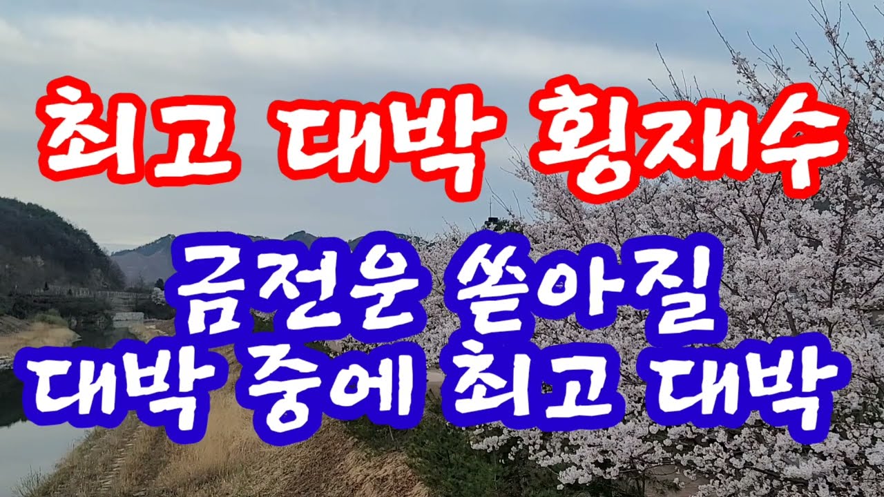 2026년 최고 대박 횡재수 죽어도 놓치지 말아라! 내일 하얀 원숭이 날은 금전운 쏟아지는 횡재수 잡는 날~지금 대박 횡재수 낚아채는 내일 목요일 하얀 원숭이 날 돈복풍수기원접수중