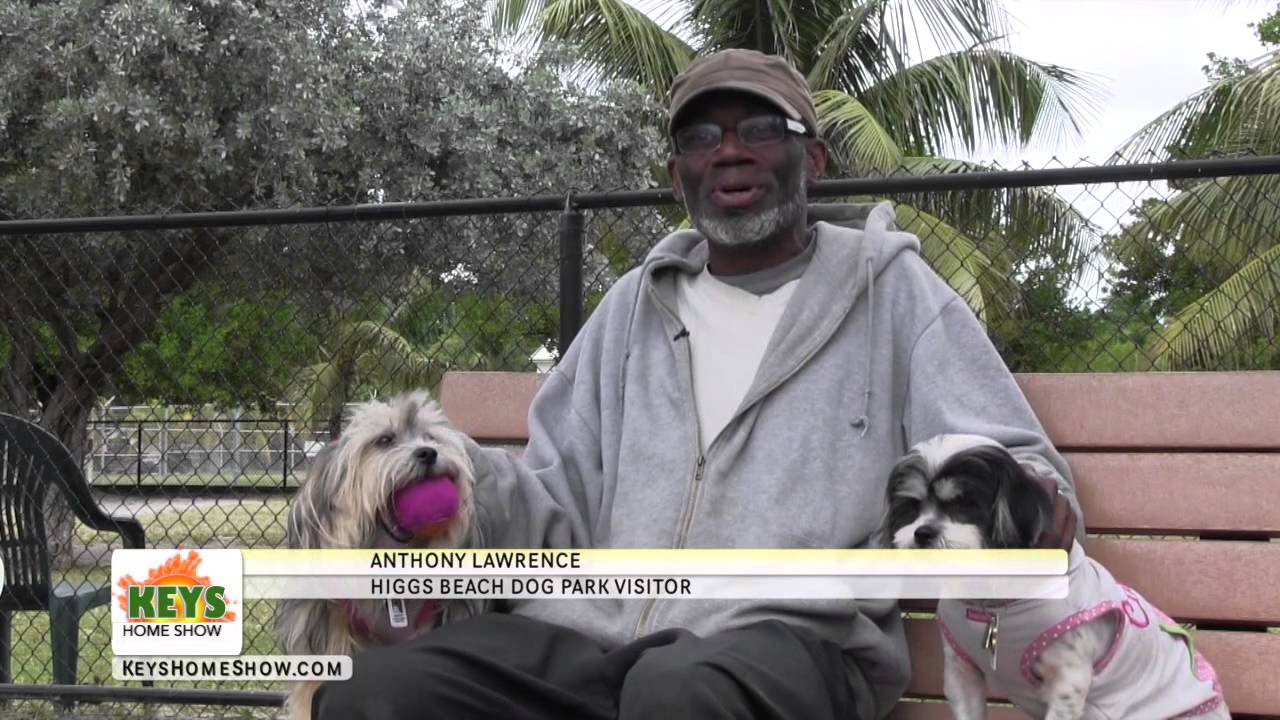 Key West Dog Parks