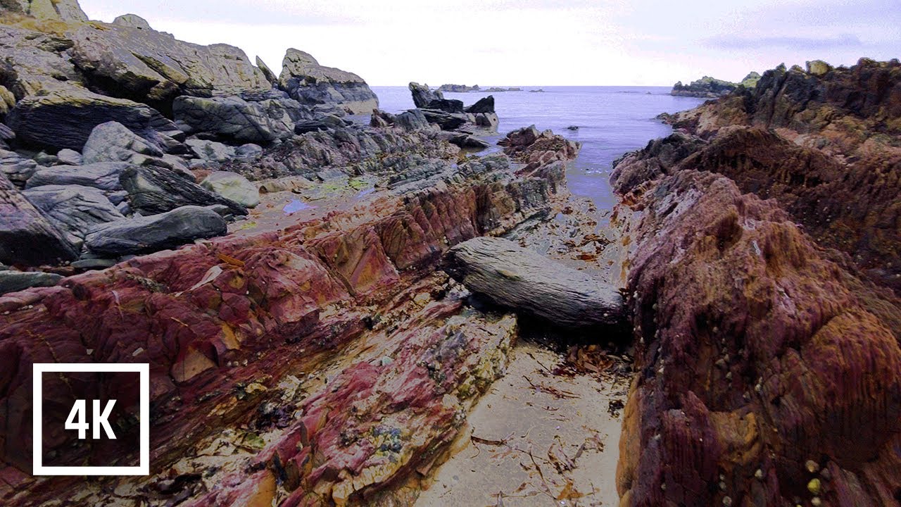 GREENCASTLE Coast Walk | Fur Seals Swimming in the Ocean | Inishowen Head | Ireland