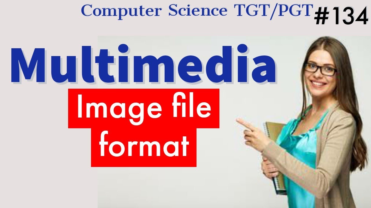 Multimedia image file format | Multimedia in Hindi | Computer Science Teacher notes DSSSB/HSSC/KVS