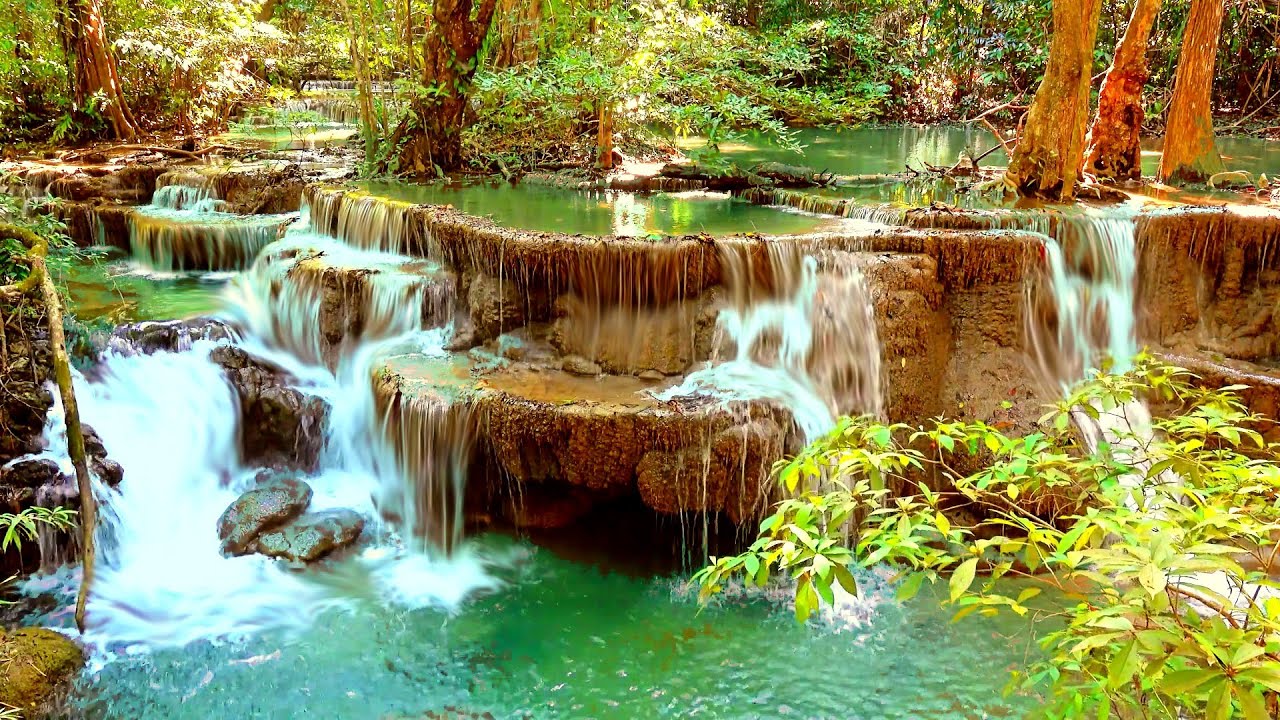 Peaceful Cascading Waterfall in Dense Rainforest | Nature Sounds, White Noise & ASMR for Deep Sleep