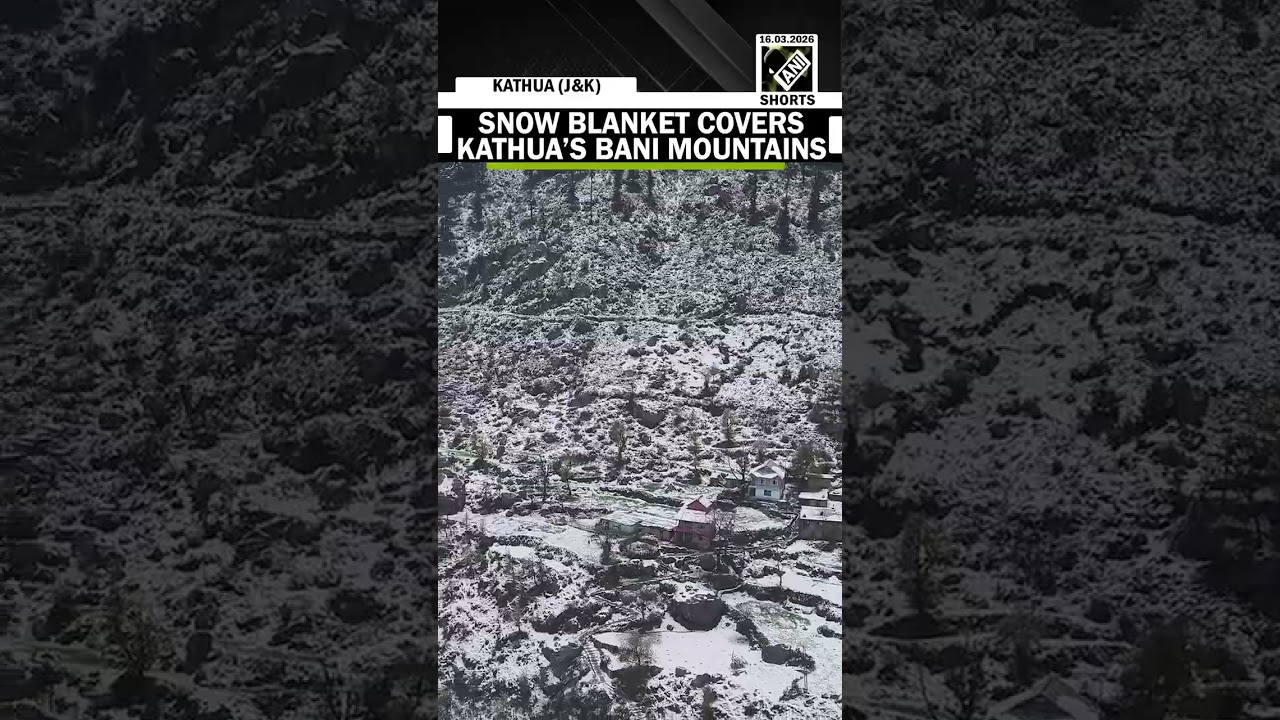 Fresh snowfall has draped the mountains of Bani in Kathua district in white