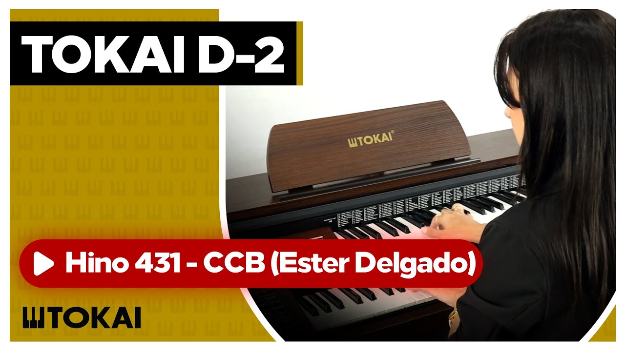 TOKAI D-2: Hino 431 - Ester Delgado