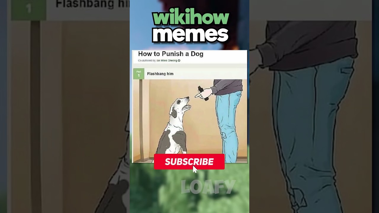 Informative WikiHow Memes 🤔 #shorts