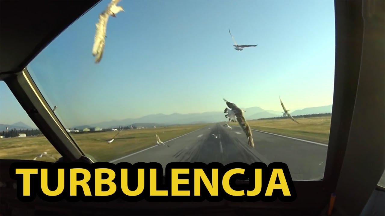 (1) A320, Bird strike. птичий удар. Avión de ataque de aves, 鳥擊, Vogelschlag, पक्षी हड़ताल