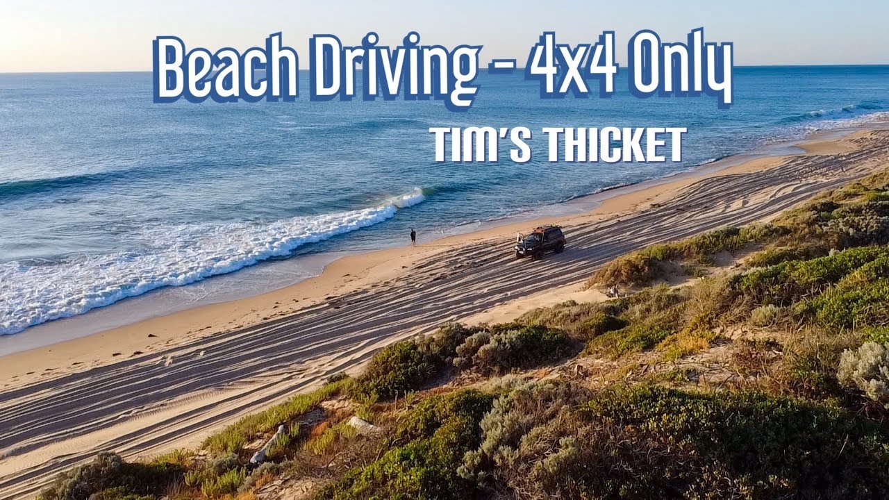 An Arvo At The Beach - Tim’s Thicket, WA - I Desperately Needed This