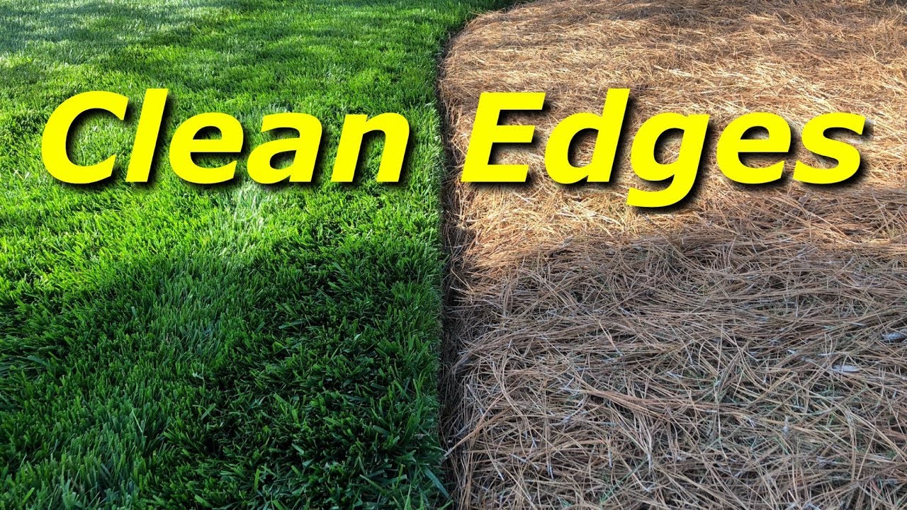 How To Have Clean Edges In A Lawn - PART 4