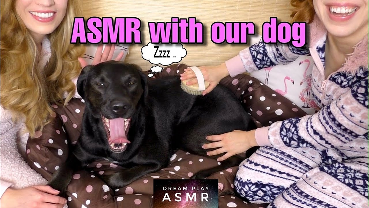 ★ASMR★ Wir entspannen unseren Hund 🐶  (binaural sounds) | Dream Play ASMR