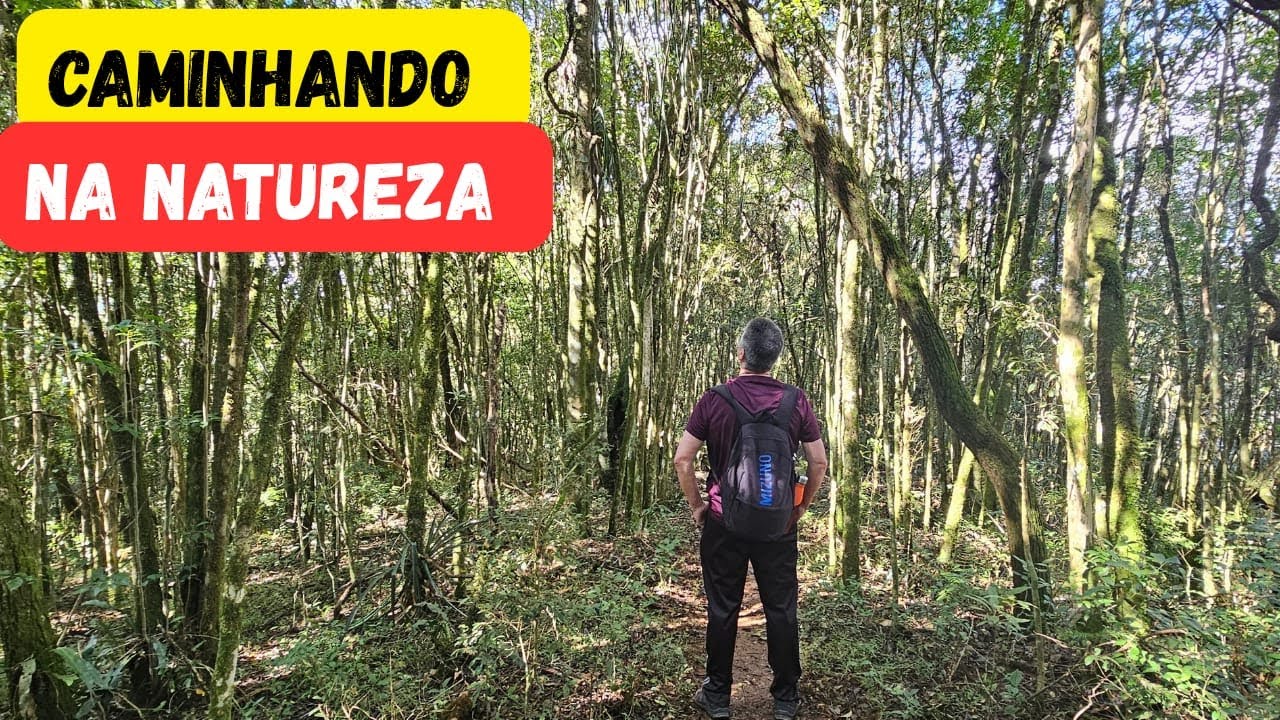 Caminhada Nascentes do Iguaçu- Piraquara - PR- A cada passo uma descoberta.