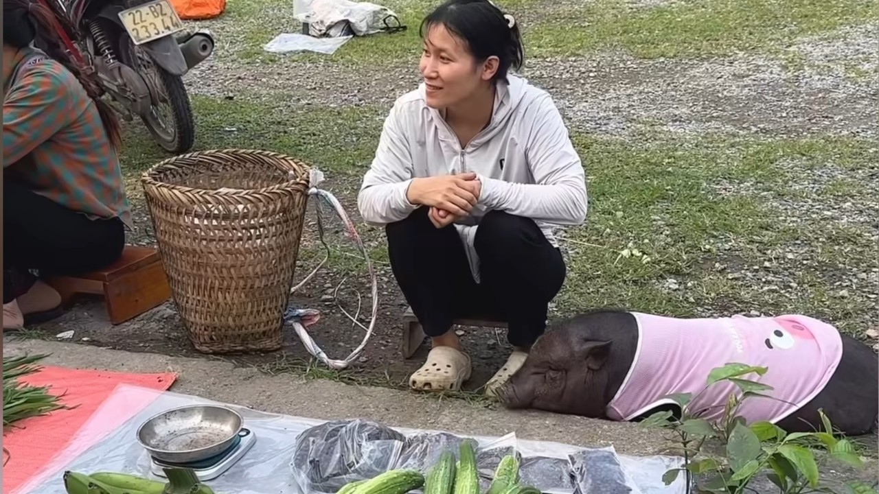 A Girl and Her Pig: Simple Life in the Mountains