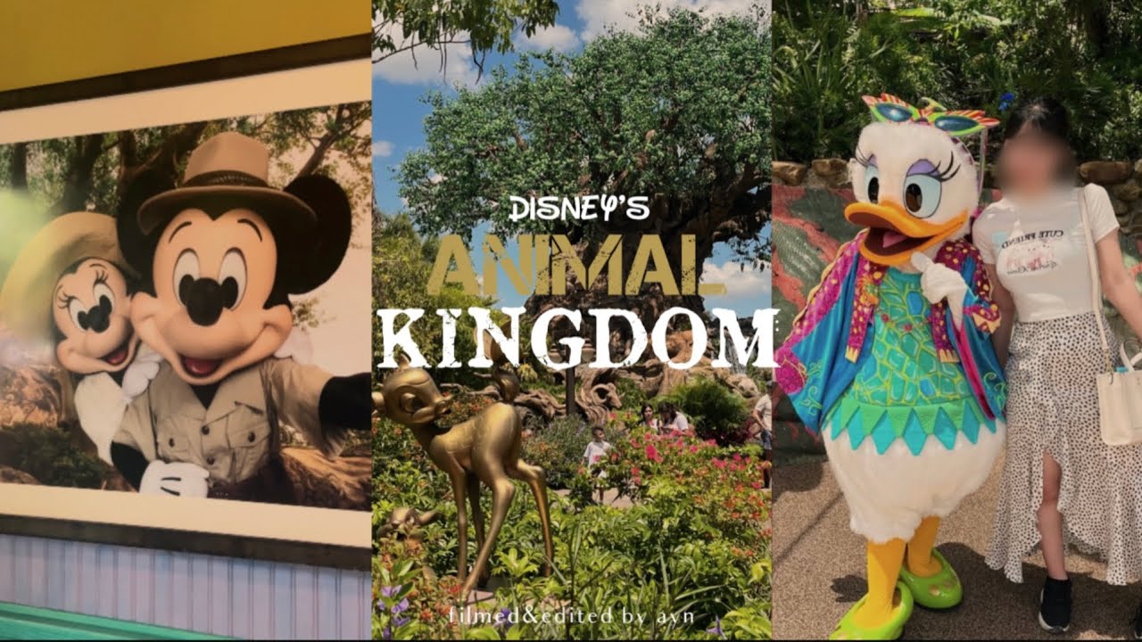 ［海外vlog］WDW｜アニマルキングダム｜ウォルトディズニーワールド