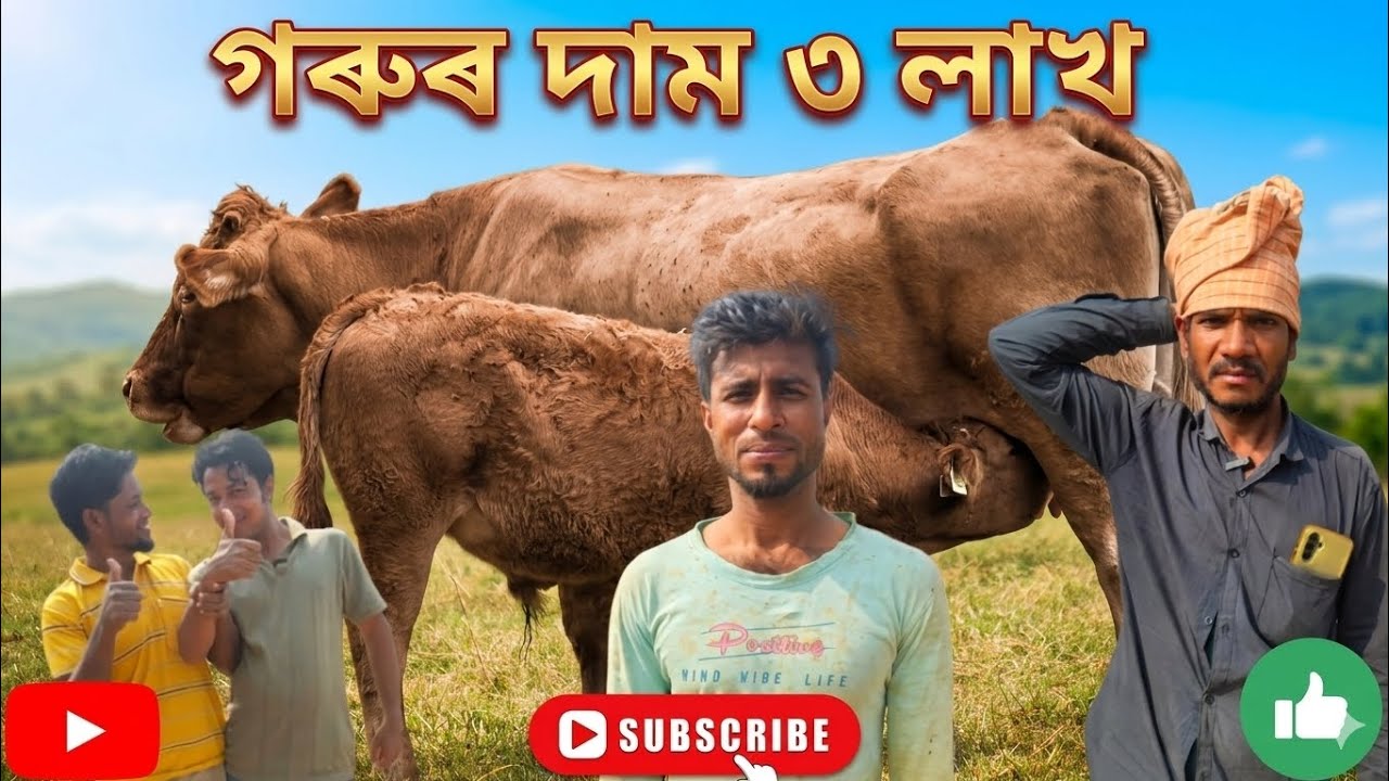 😍গৰুৰ দাম ৩ লাখ😅Bangla Short Film! Mofidul Islam @My Ne 360 Official.