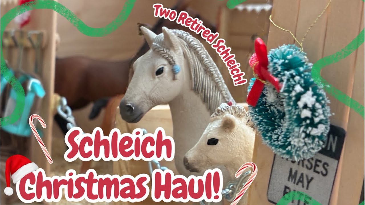 Schleich Christmas Haul! || 10 New Schleich! || 2025!❄️📦