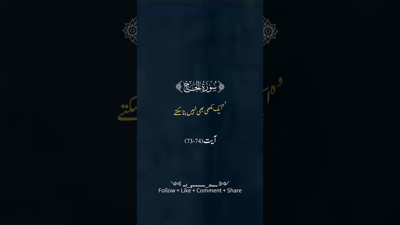 Beautiful Quran Recitation | Soothing Words of Allah's Mercy #islamicvideo #quran #islamworld